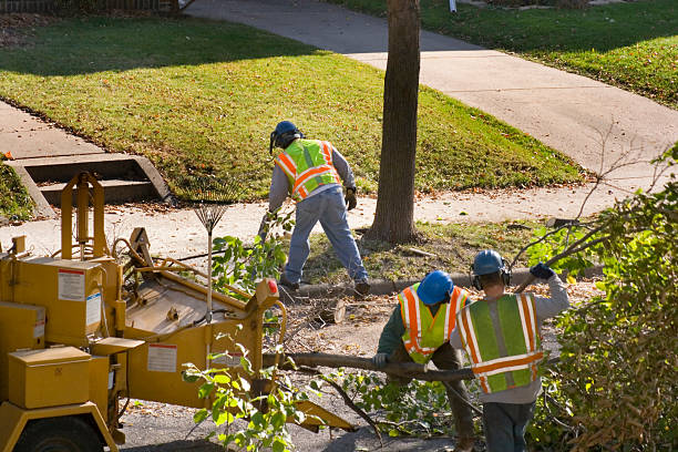 Landscape Design and Installation in Swedesboro, NJ